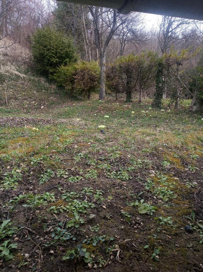 Holiday Home Nature Plesivica ยาสเตรบาร์สโก ภายนอก รูปภาพ