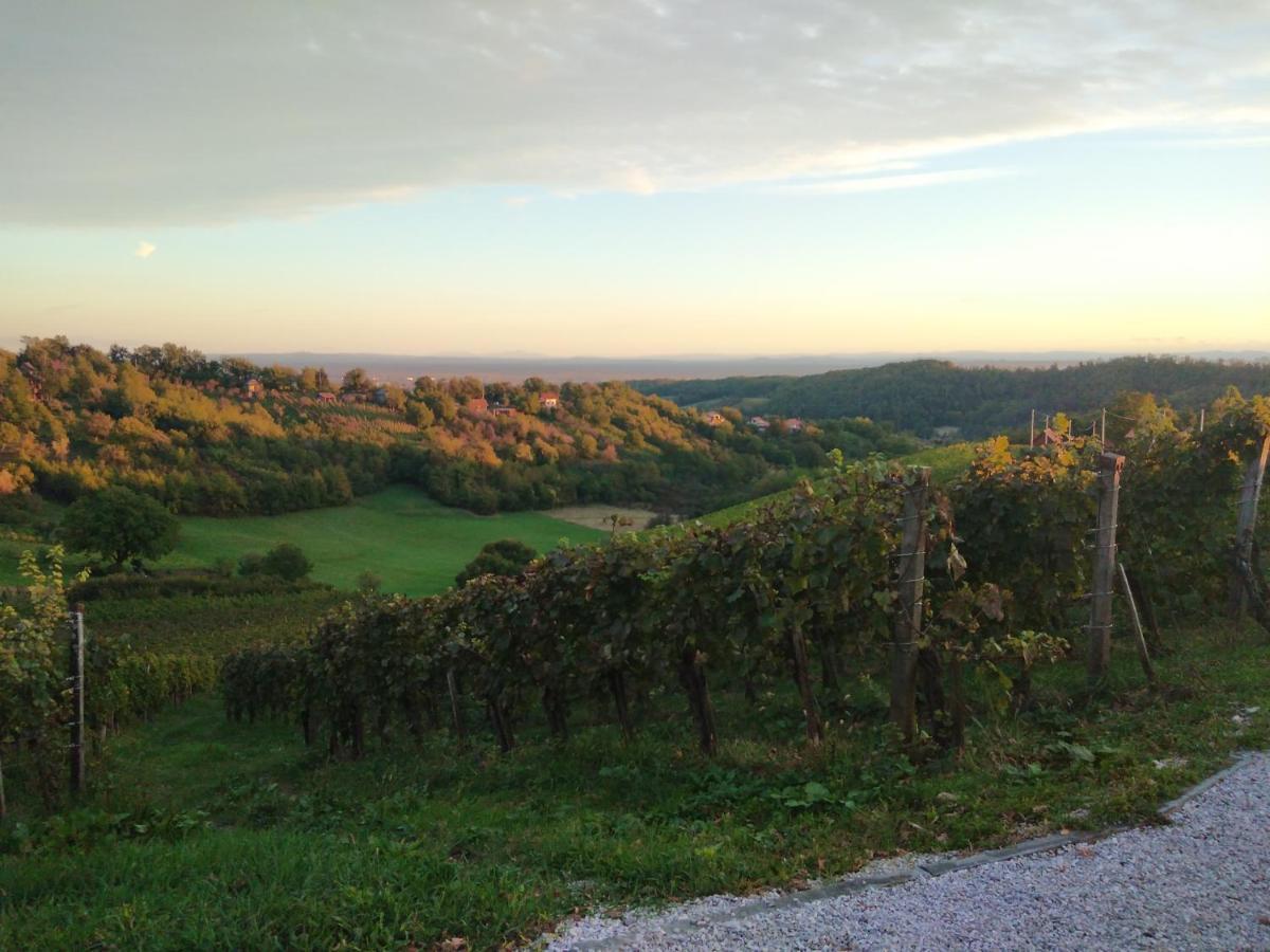 Holiday Home Nature Plesivica ยาสเตรบาร์สโก ภายนอก รูปภาพ
